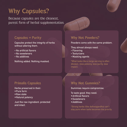 Primali-T - Natural Hormone Support & Performance Boost
