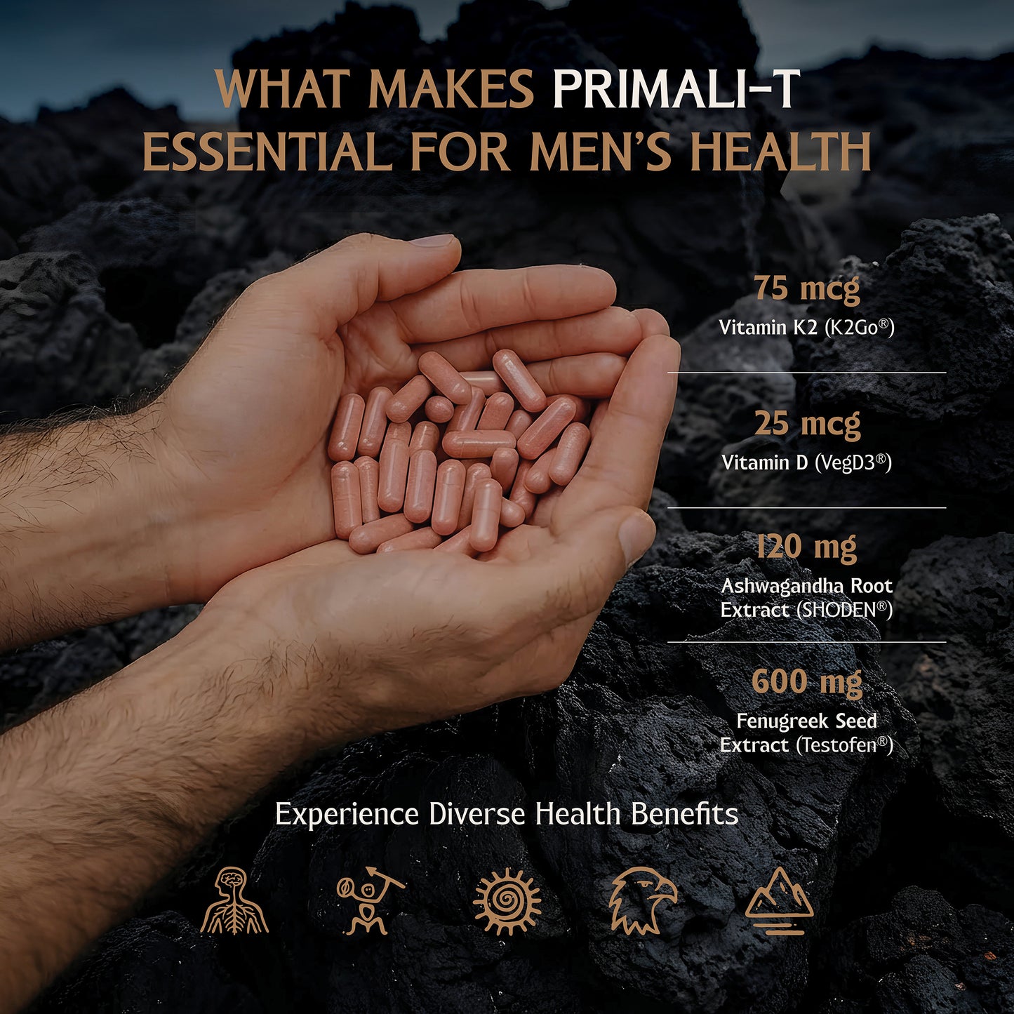 Primali-T - Natural Hormone Support & Performance Boost